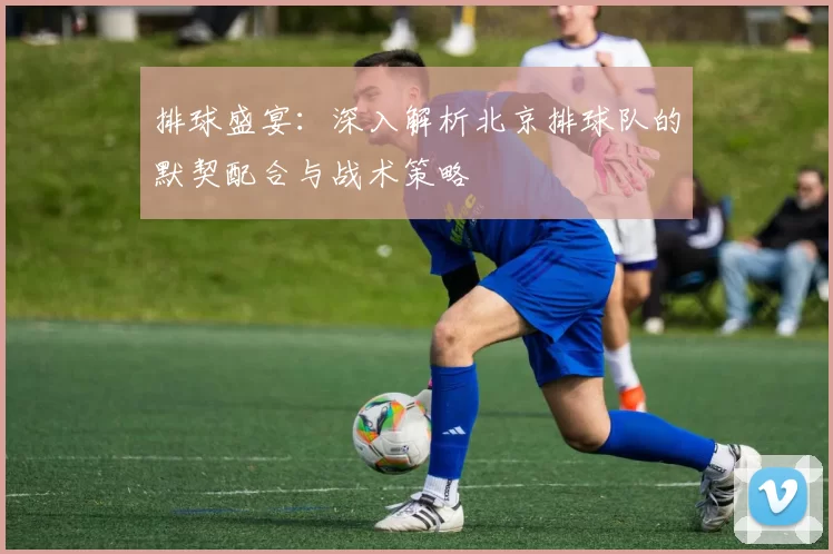 排球盛宴：深入解析北京排球队的默契配合与战术策略