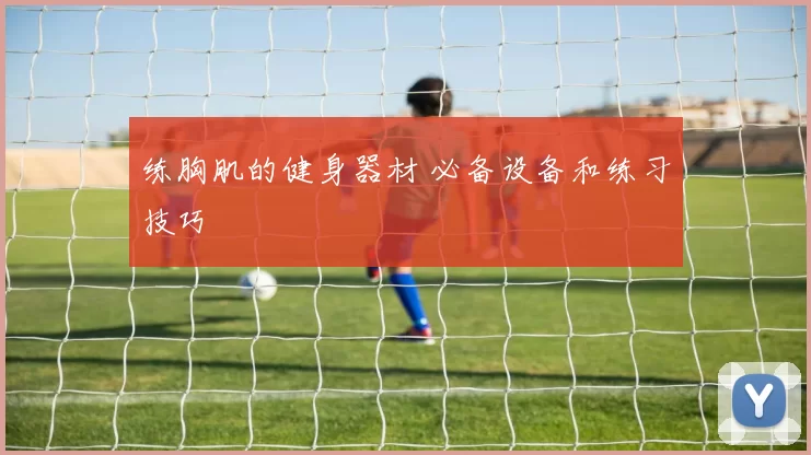 练胸肌的健身器材 必备设备和练习技巧
