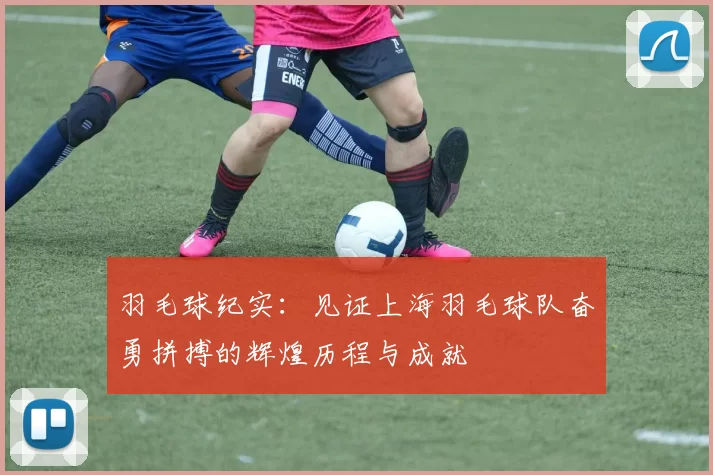 羽毛球纪实：见证上海羽毛球队奋勇拼搏的辉煌历程与成就