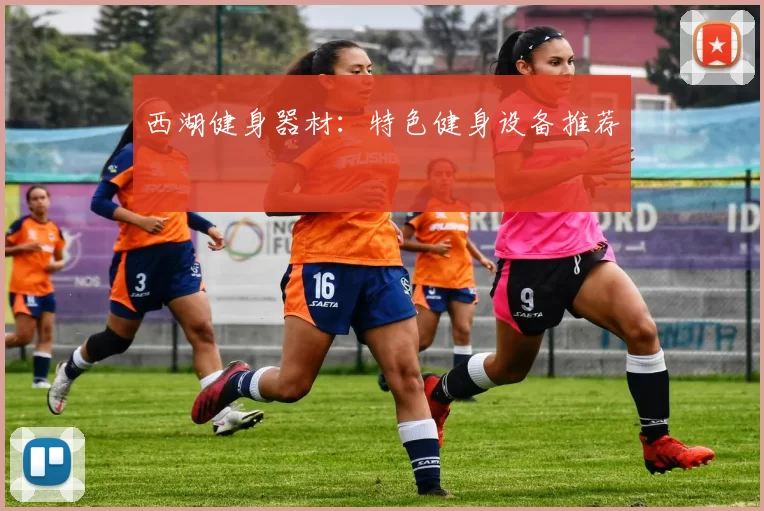 西湖健身器材：特色健身设备推荐