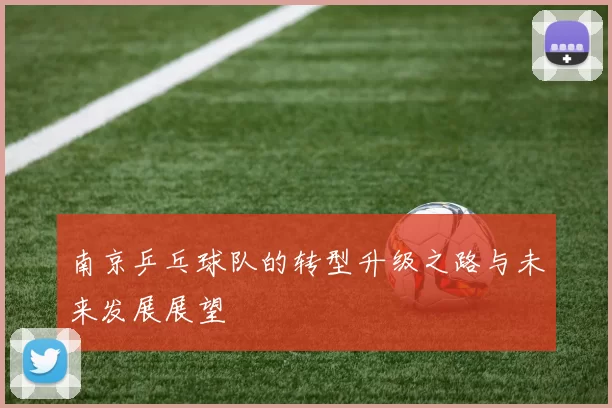 南京乒乓球队的转型升级之路与未来发展展望