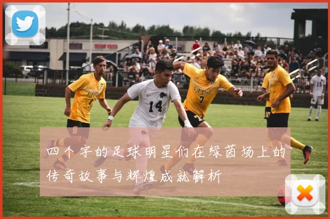 四个字的足球明星们在绿茵场上的传奇故事与辉煌成就解析