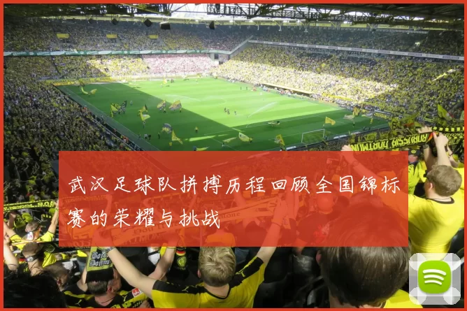 武汉足球队拼搏历程回顾全国锦标赛的荣耀与挑战