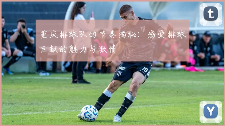 重庆排球队的节奏揭秘：感受排球巨献的魅力与激情
