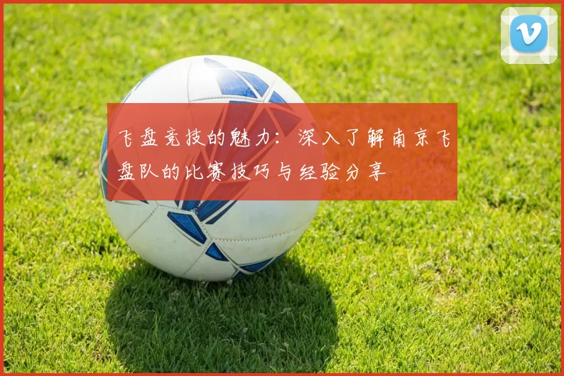 飞盘竞技的魅力：深入了解南京飞盘队的比赛技巧与经验分享
