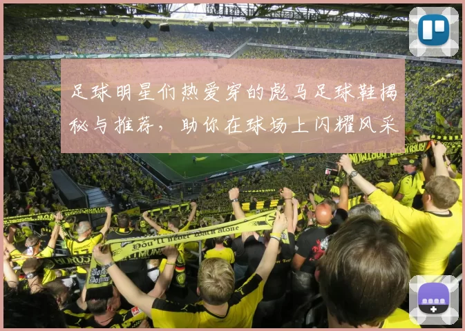 足球明星们热爱穿的彪马足球鞋揭秘与推荐，助你在球场上闪耀风采