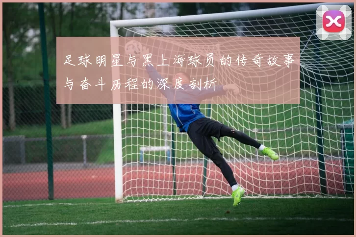 足球明星与黑上海球员的传奇故事与奋斗历程的深度剖析