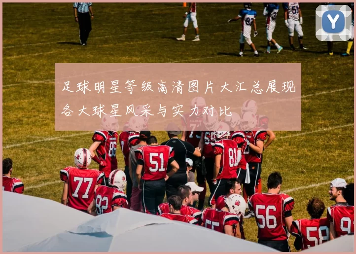 足球明星等级高清图片大汇总展现各大球星风采与实力对比