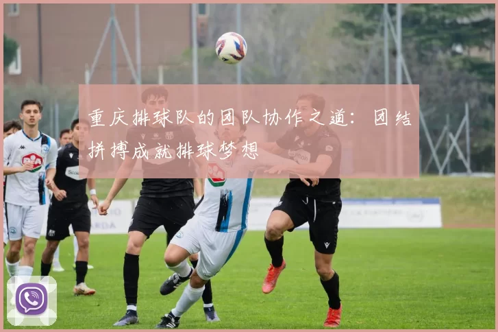 重庆排球队的团队协作之道：团结拼搏成就排球梦想