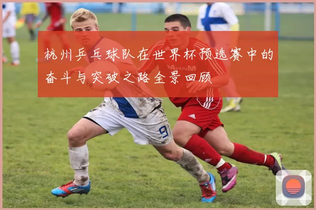 杭州乒乓球队在世界杯预选赛中的奋斗与突破之路全景回顾