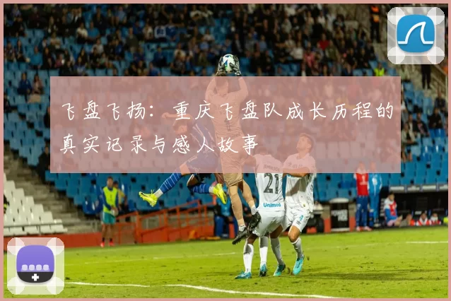 飞盘飞扬：重庆飞盘队成长历程的真实记录与感人故事
