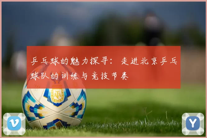 乒乓球的魅力探寻：走进北京乒乓球队的训练与竞技节奏