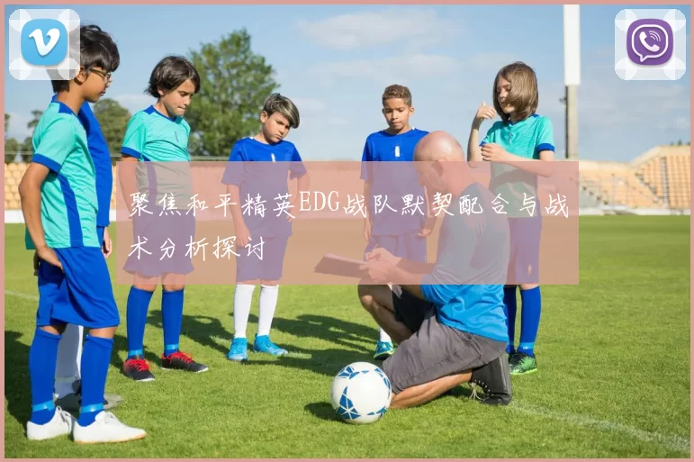 聚焦和平精英EDG战队默契配合与战术分析探讨
