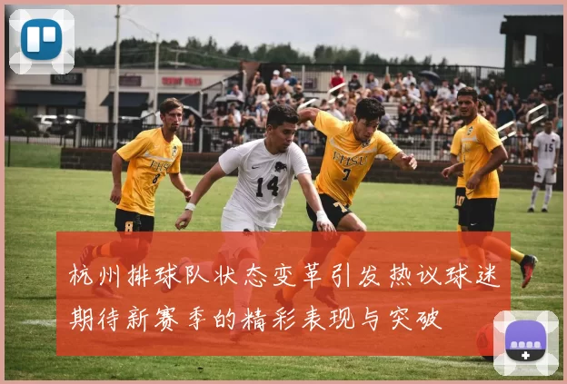 杭州排球队状态变革引发热议球迷期待新赛季的精彩表现与突破
